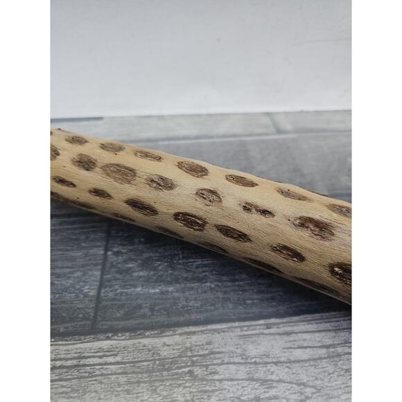 Chilean Cactus Rain Stick • Musical Instrument • Curved • 19.5” [64] - Picture 6 of 11